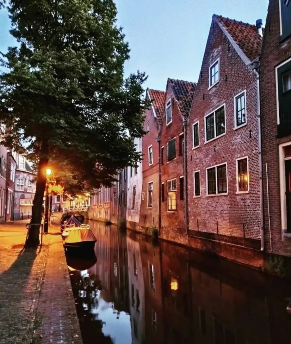 Kooltuin in Alkmaar. Foto via Instagram @oogvoornoordholland.