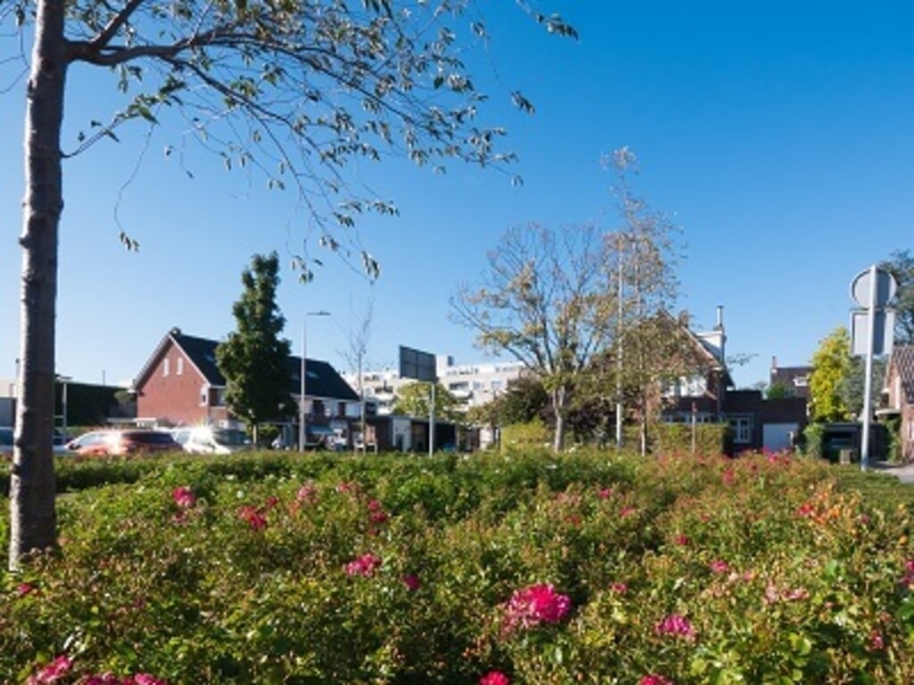 De gemeente Alphen gaat over op een nieuwe aanpak voor het onderhoud van plantsoenen. Op de foto: het Toussaintplein in Alphen.