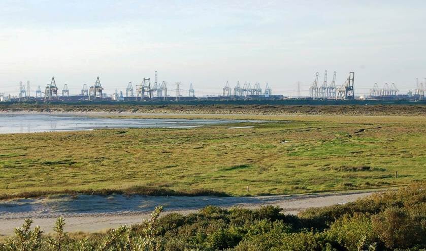 De Voornse Slikken met op de achtergrond de Maasvlakte
