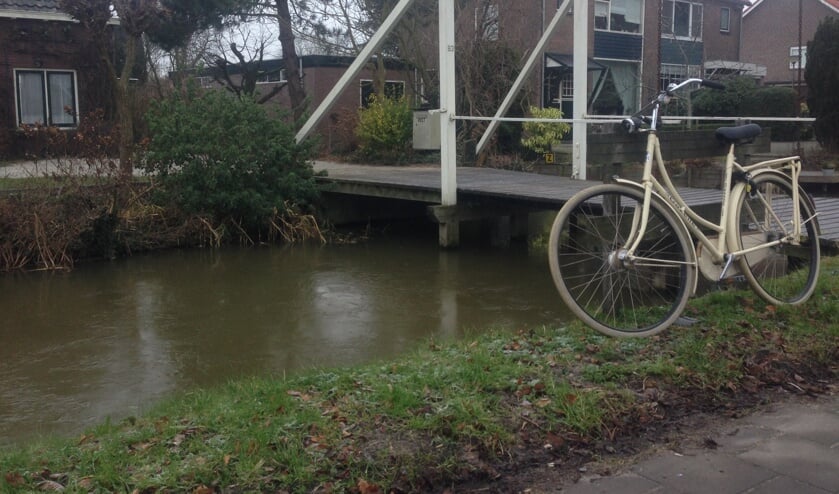 Vannacht deed Koning Winter zijn best, maar zelfs de eenden zakten vanmorgen in alle vroegte door het ijs. Foto: Martijn Mastenbroek