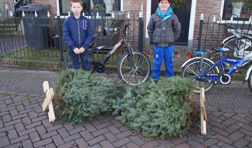De bomen worden thuis opgehaald. Foto's: Teun Kweekel.