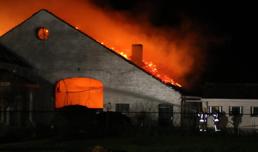 Foto: Wil van Balen