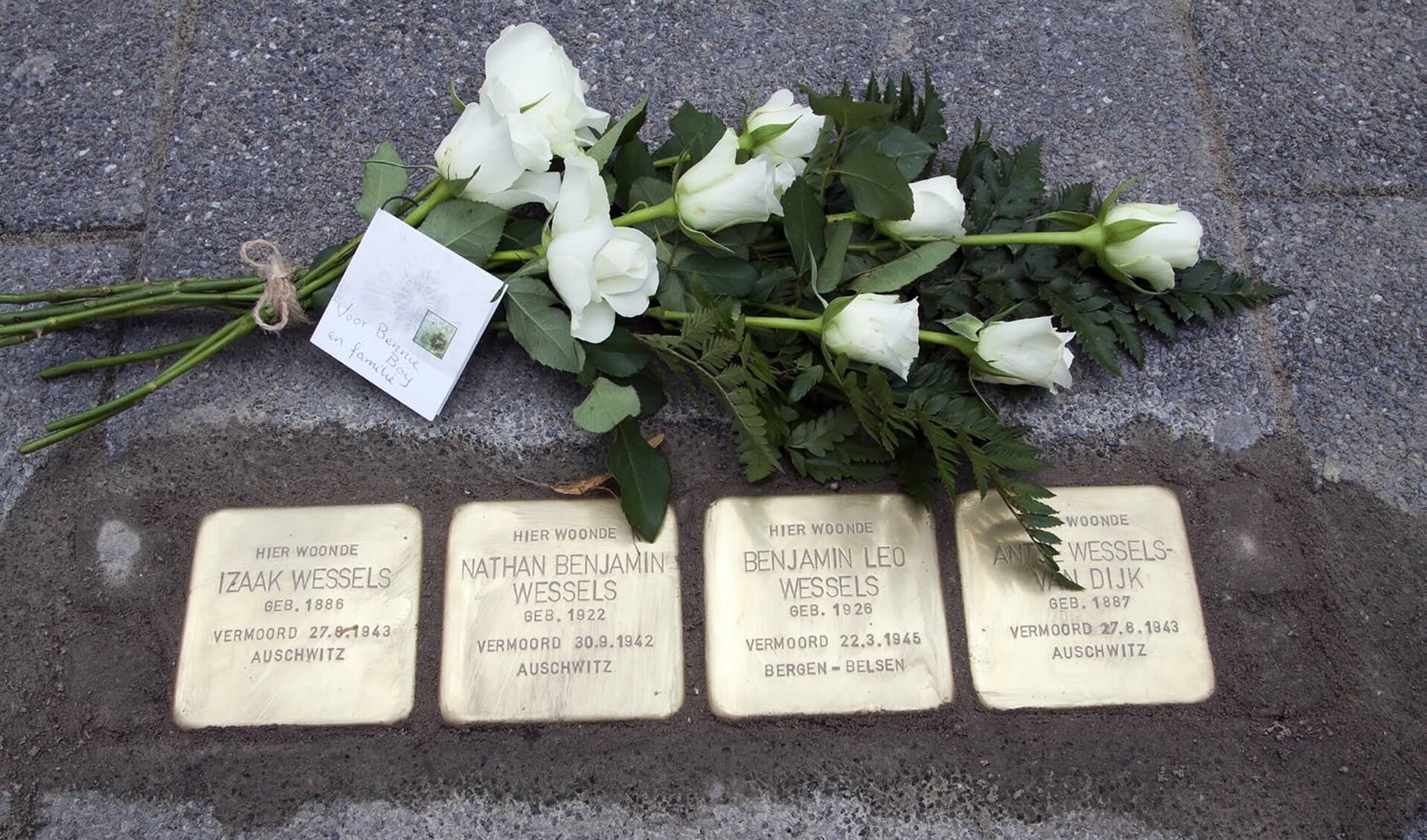 De Stolpersteine aan de Stationsweg ter hoogte van Kwalitaria 't Centrum gedenken vier leden van het Joodse gezin Wessels uit Oostvoorne, die in de Tweede Wereldoorlog omkwamen. * foto Wil van Balen.