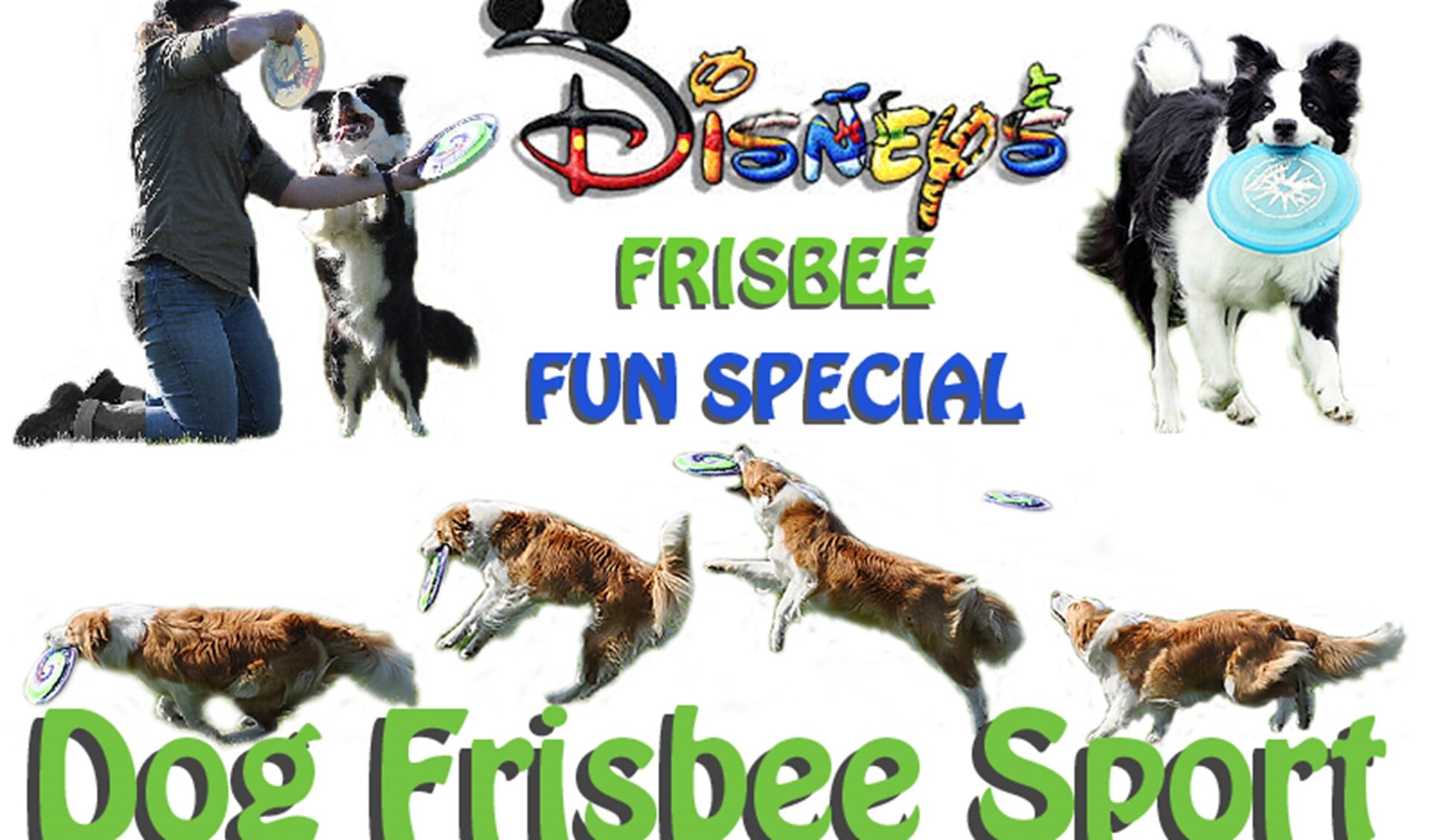 Kom kijken bij Disney's Frisbee Fun Special.