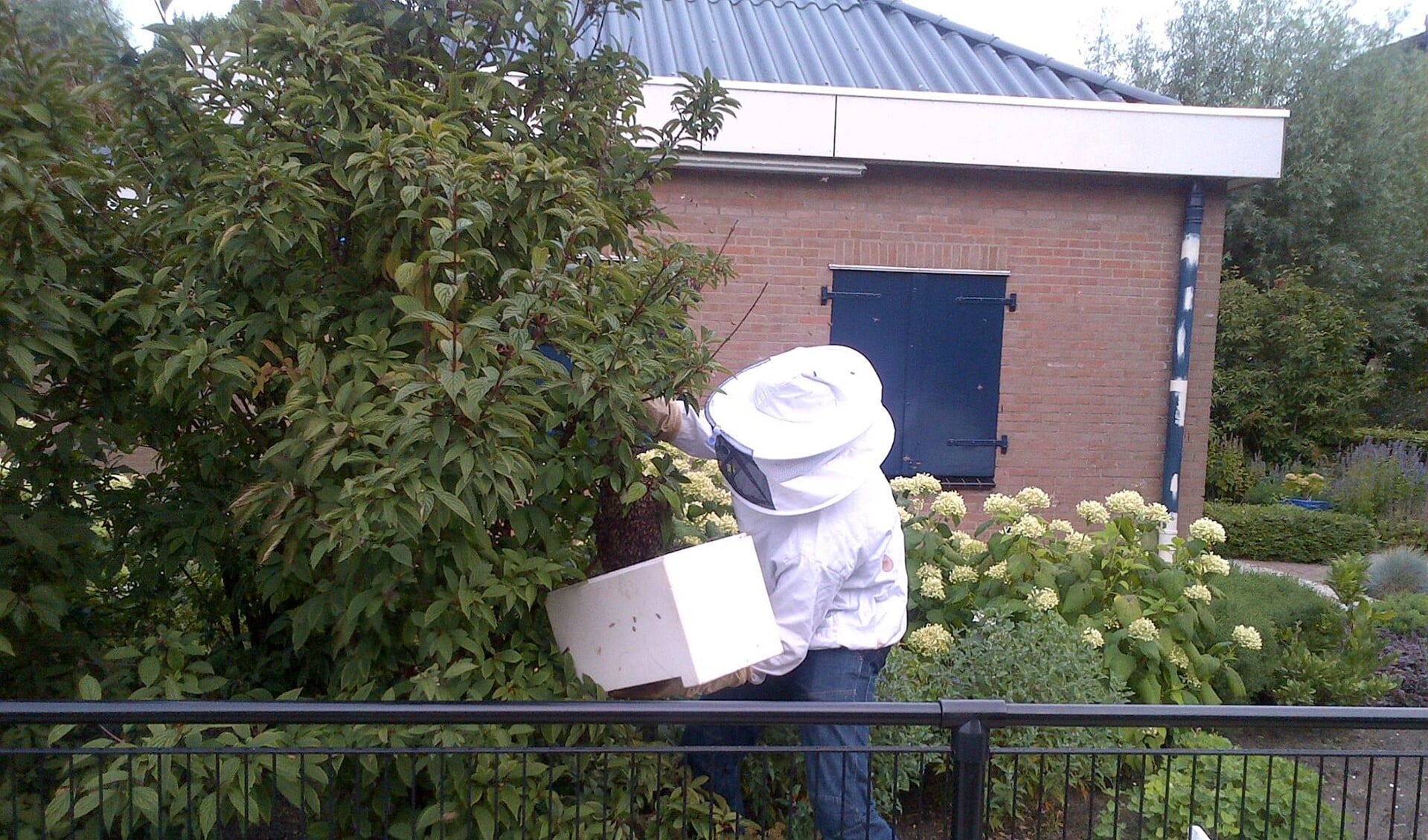 De bijen krijgen een plek waar niemand last van hen heeft. Foto: politie Nissewaard.