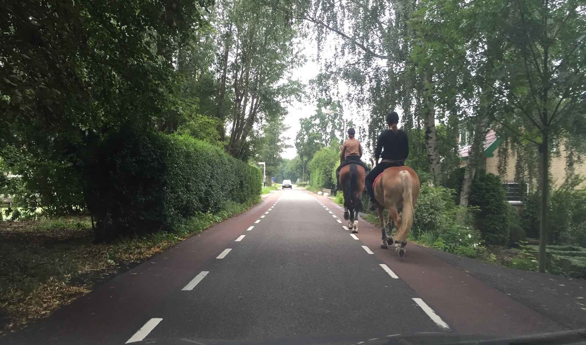Deze paarden rijden netjes en rustig, toch is er ook veel commentaar op paarden en ruiters. Foto: Martijn Mastenbroek