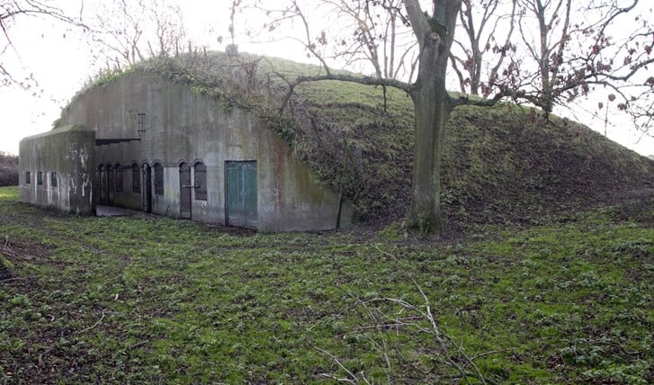 Afbeelding