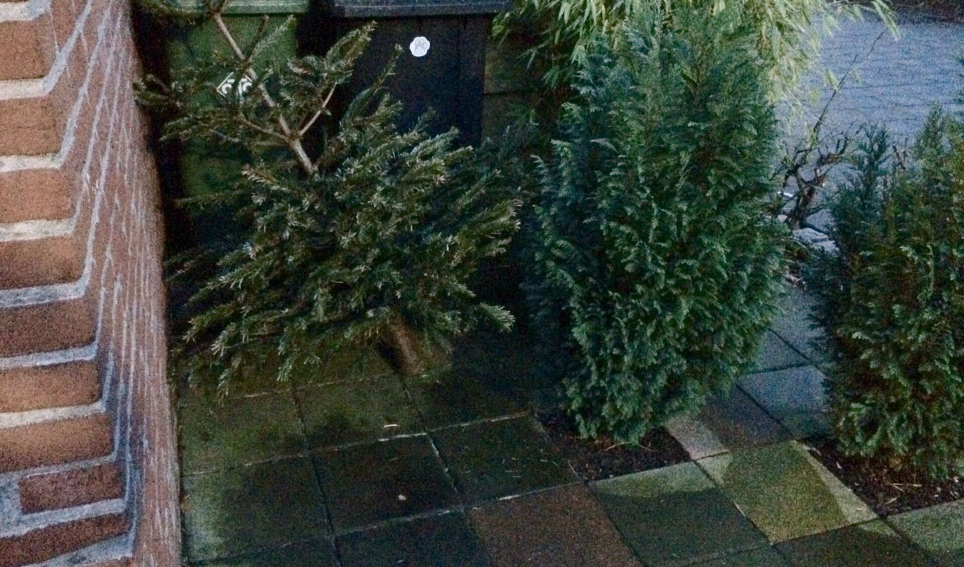 Recyclen van de kerstboom lukt niet altijd.
