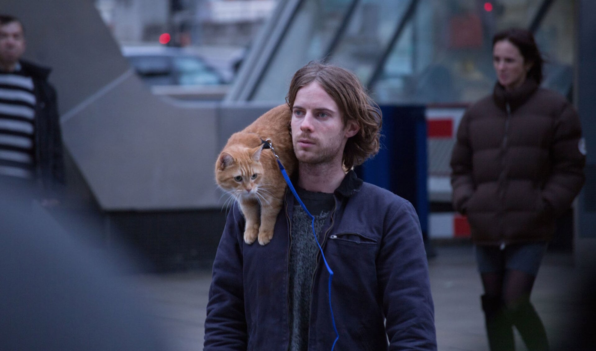 A Street Cat Named Bob is gebaseerd op het hartverwarmende, waargebeurde verhaal van de straatmuzikant James Bowen. 