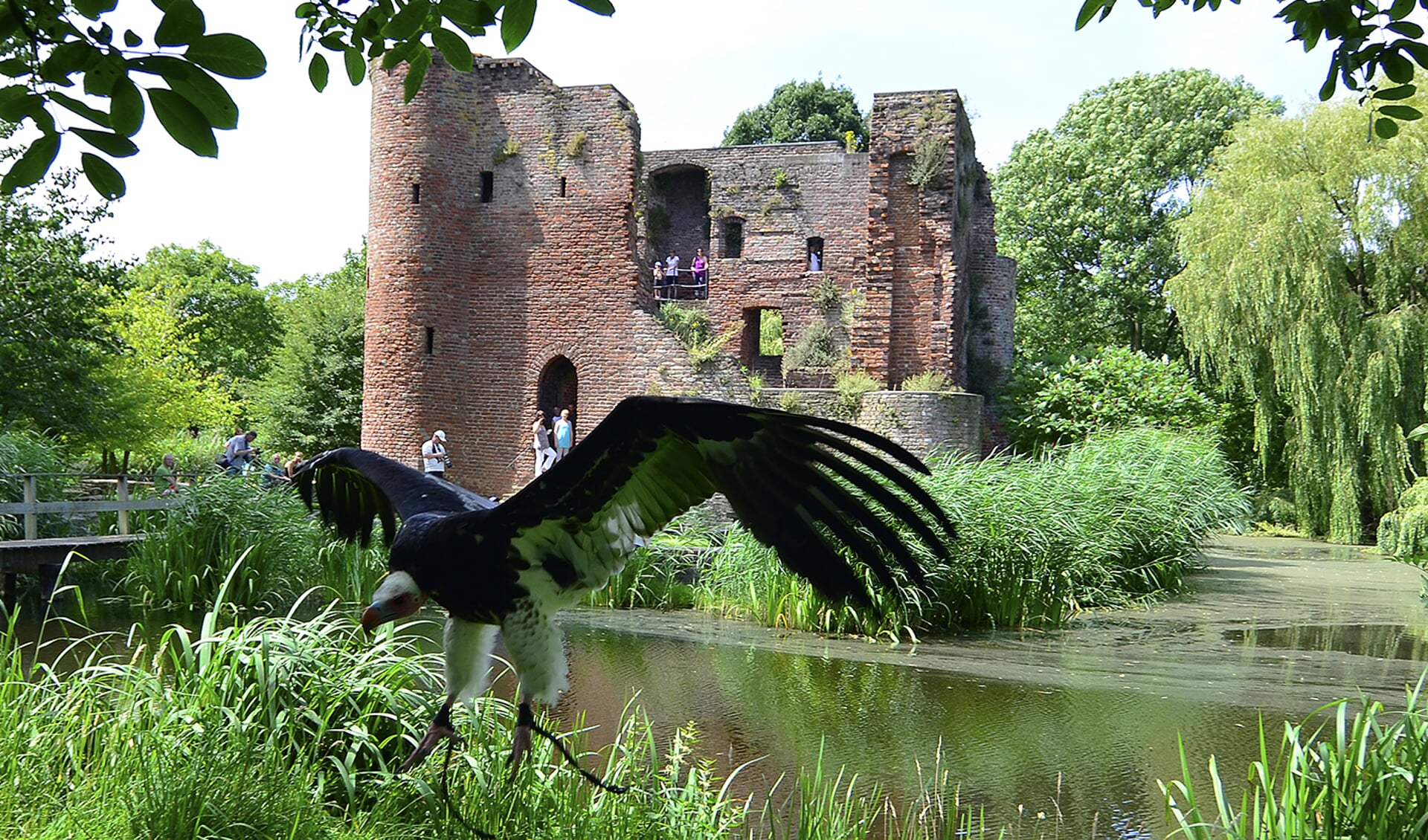 Veel bezoekers tijdens de spectaculaire roofvogelshow in Heenvliet.