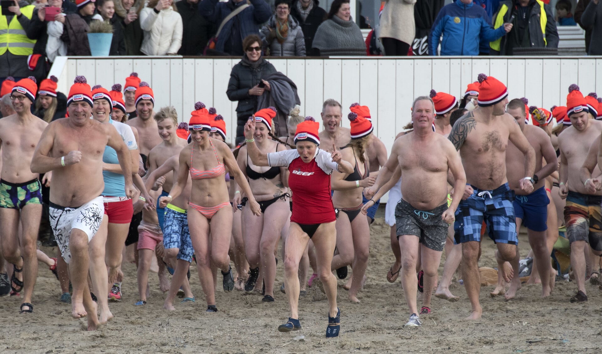 Zo'n 360 dappere duikers trotseerden op Nieuwjaarsdag in Rockanje een snijdende wind en het koude zeewater. * Foto: Jos Uijtdehaage.