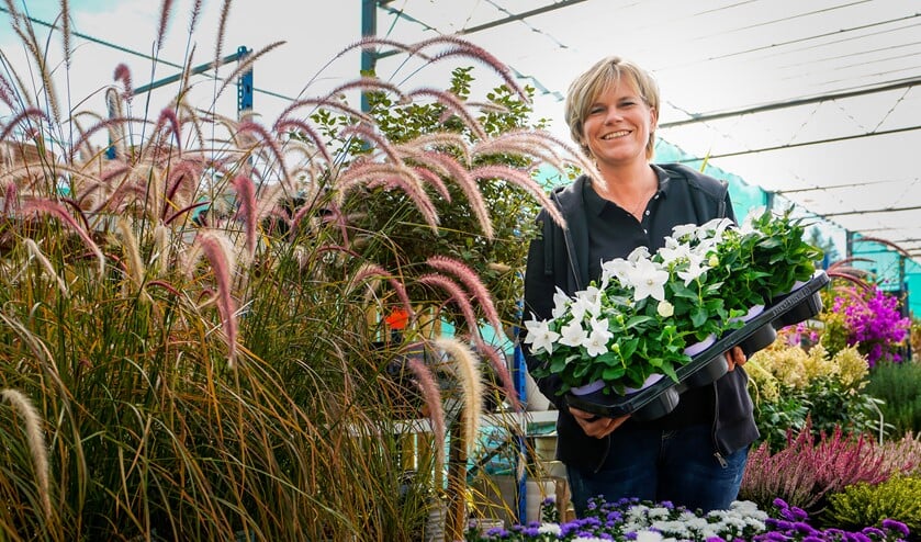 Uw Lokale Ondernemer Planten Zo