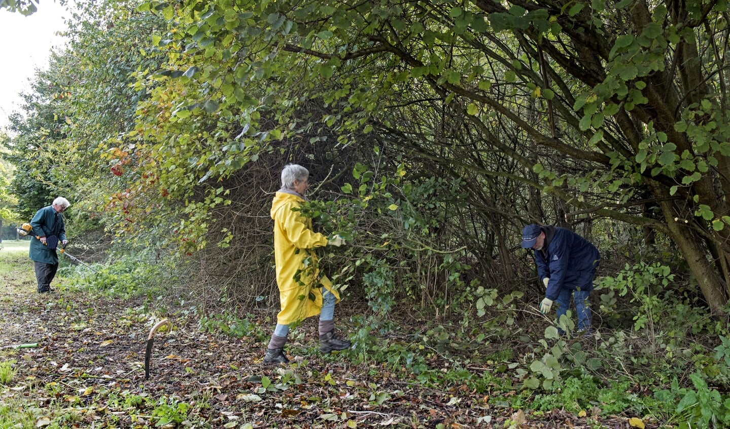 Vele handen maken licht werk, dus is er veel snoeiwerk verricht