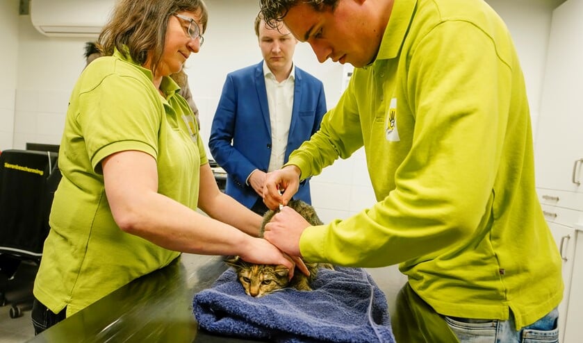 Het inbrengen van de chip is snel gebeurd.