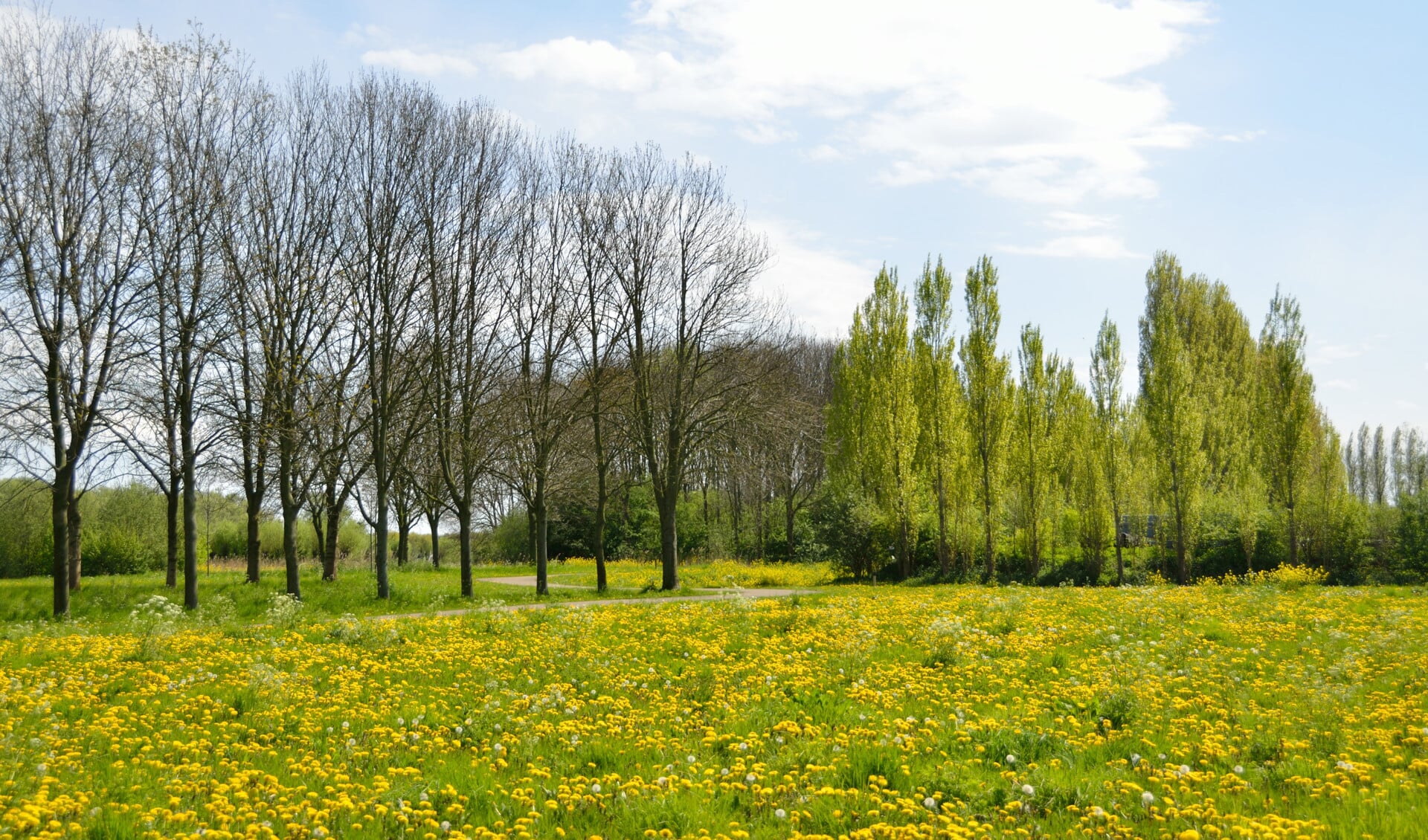 In het voorjaar is het Bernissegebied vol kleur.