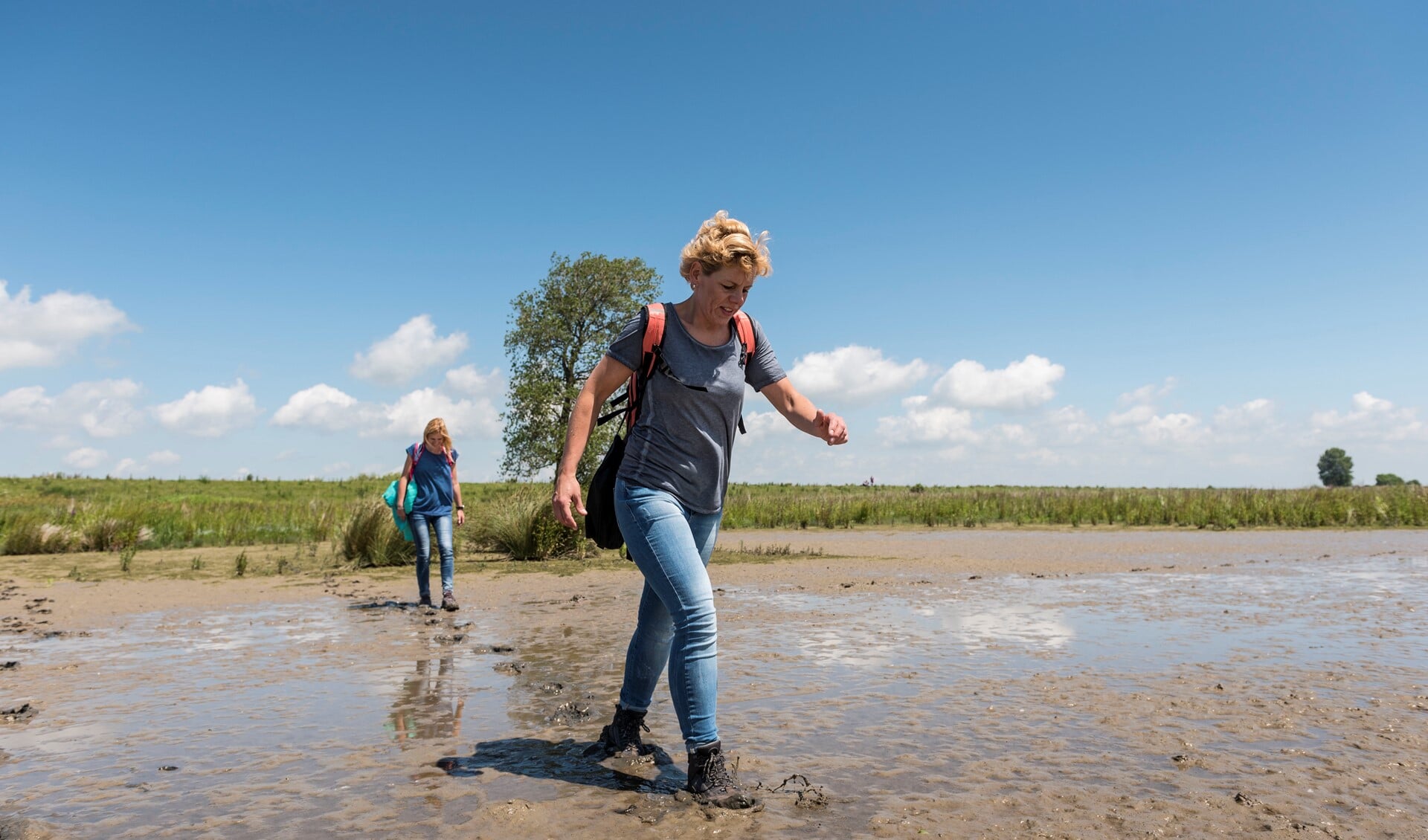 De struintocht voert door de Wildernis: het minst toegankelijke gebied van het eiland met slikken en moerassen. 
