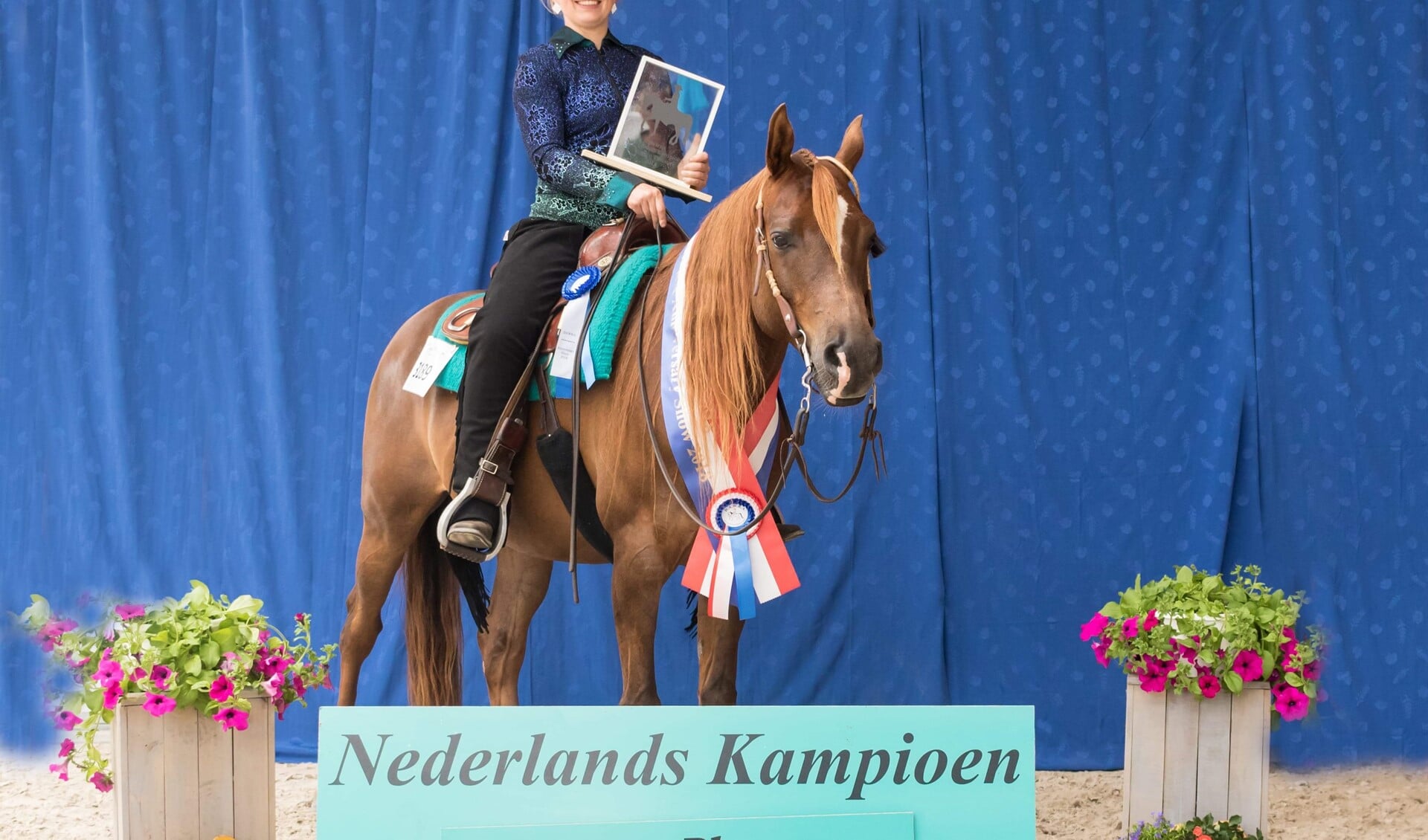 De Brielse amazone Canisia Romani is western riding kampioene van Nederland 2018 .