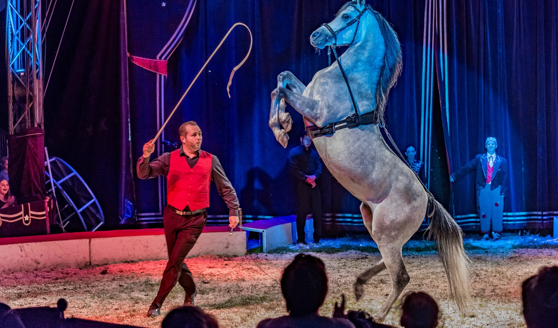 Paardendressuur is één van de pijlers van circus Renz International. 
