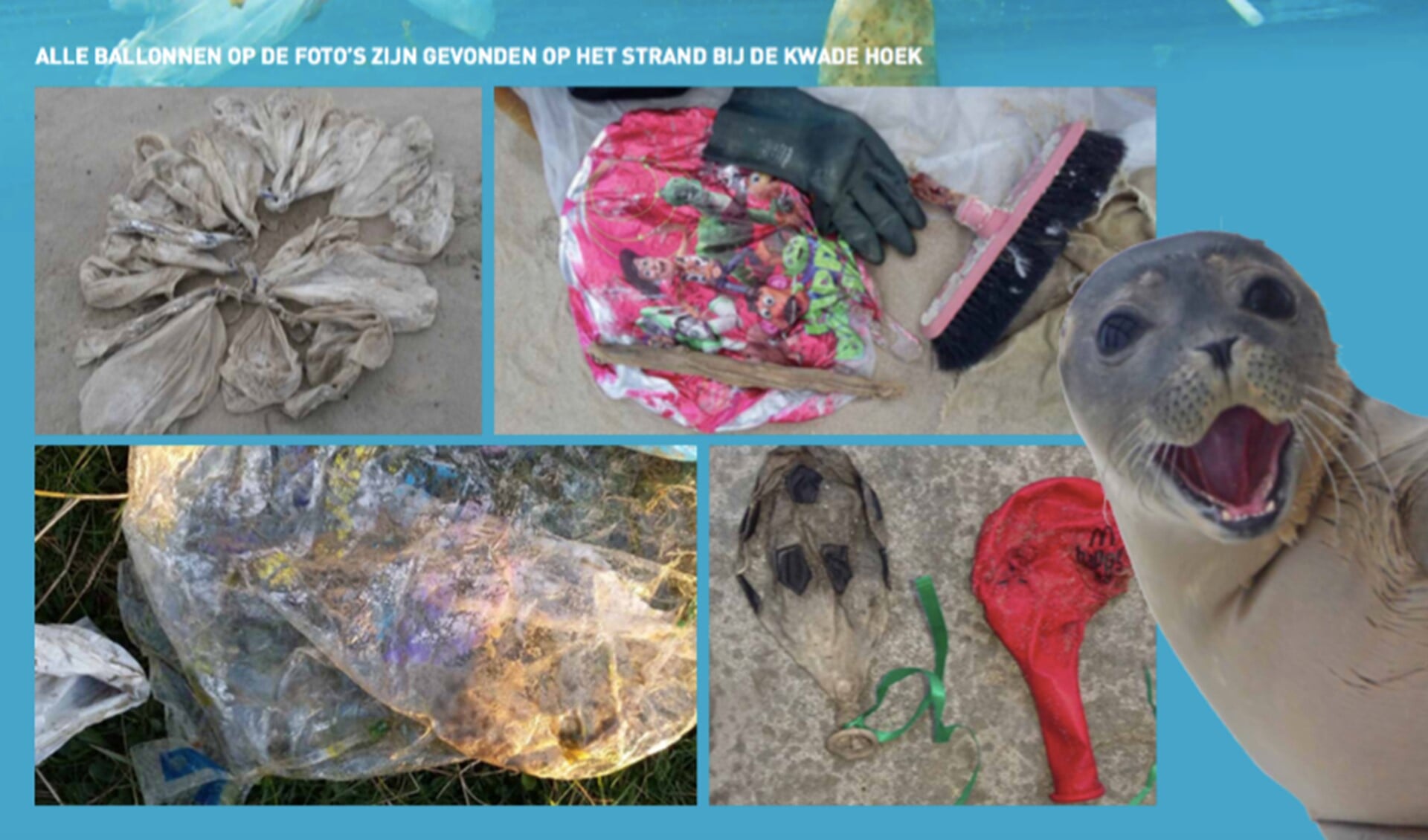 Ook tijdens dit thema zal de zeehond een centrale rol spelen en belicht men de gevolgen van plastic in de leefomgeving van deze dieren. 