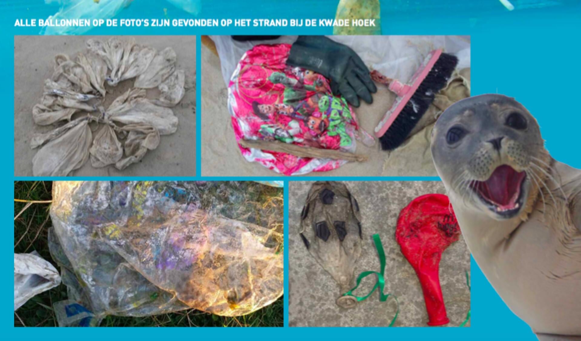 Deze expositie laat goed zien wat er zoal aan plastic afval gevonden wordt op de lokale stranden 