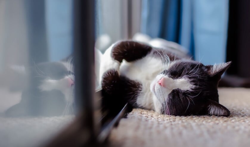 Houdt u de warmte binnen?