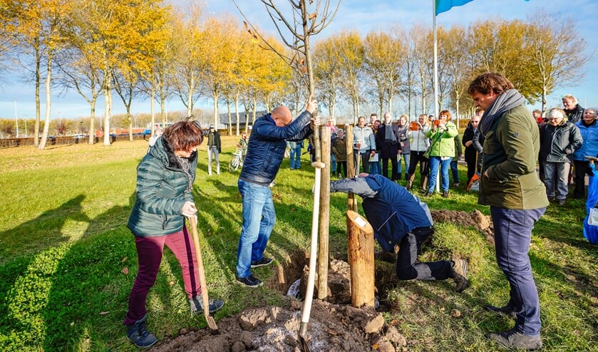Onder grote belangstelling werd de eerste boom geplant.