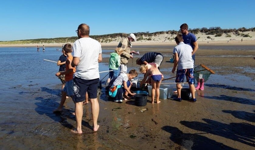 De kinderen rennen het water in. Voor de emmers enzovoort klaar staan en met water zijn gevuld, worden de eerste vangsten binnen gebracht. Een heleboel garnalen en enkele krabben verschijnen.