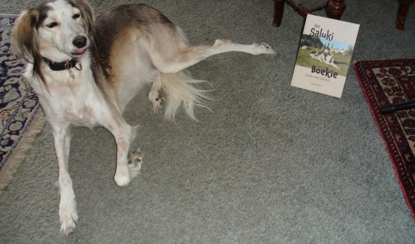 Op zondag 3 november wordt 'Het Saluki Boekie' officieel gepresenteerd bij Fata Morgana.