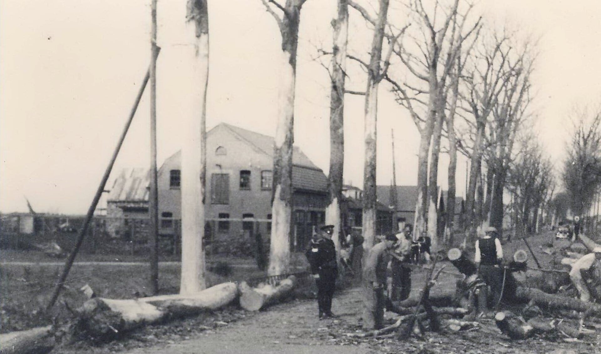 Het NIOD ontvangt graag foto's uit de periode 1940-1945. 