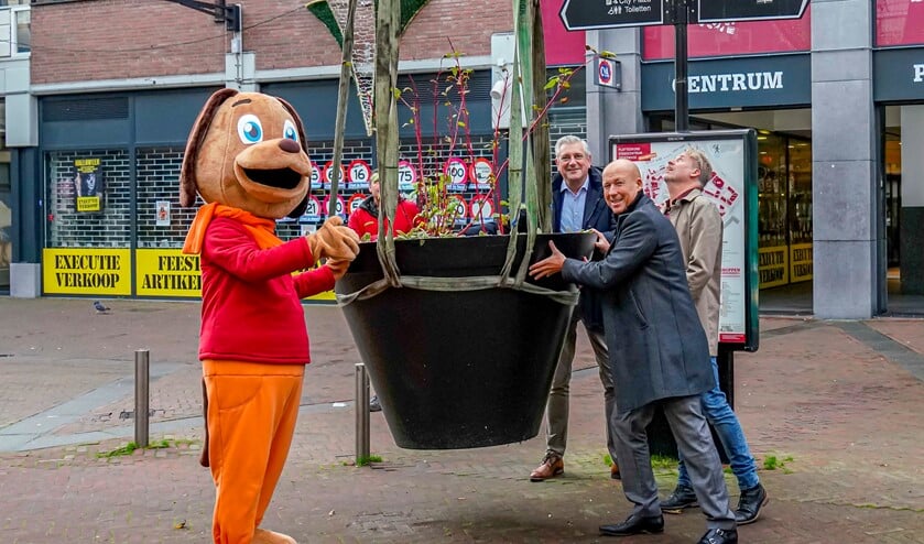 De laatste bloempot staat.