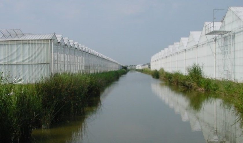 Delfland werkt - samen met de branche - aan schoon en gezond water in sloten, vaarten, kanalen en plassen.