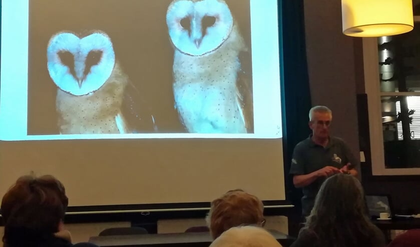 https://www.nlgo.nl/vogelwerkgroep (foto: Maria Evers)
