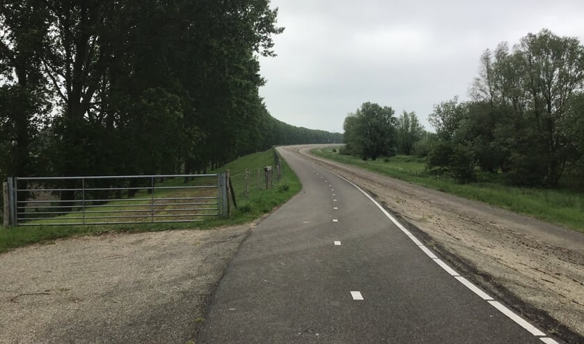 Er is geen noodzaak voor de kap van de 1139 bomen. Ze zijn gezond en kunnen nog decennia lang mee. De veiligheid van de dijk is niet in het geding en ook voor het verkeer is geen risico.