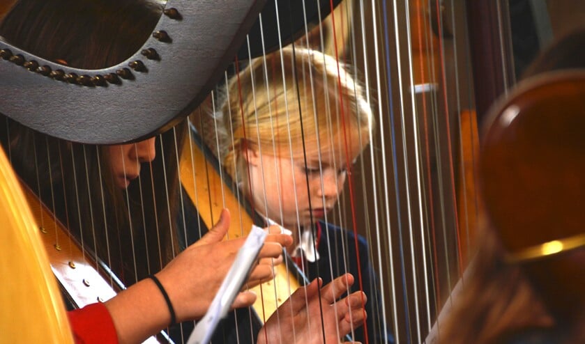 De harpdocente vertelt over de werking van het instrument en hierna leest zij een muziekverhaal voor uit haar boek 'de avonturen van Harpie Harrie en Oktavia Harpopus'.