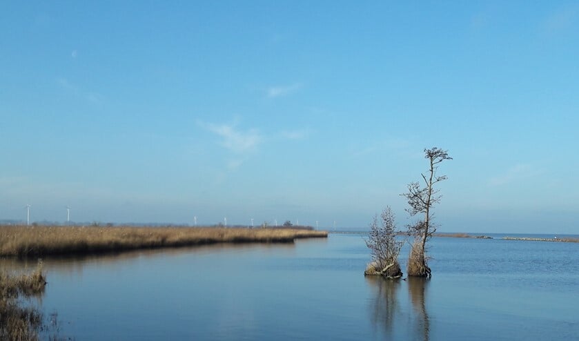 Zicht vanaf Tiengemeten. Aan de horizon Goeree Overflakkee.