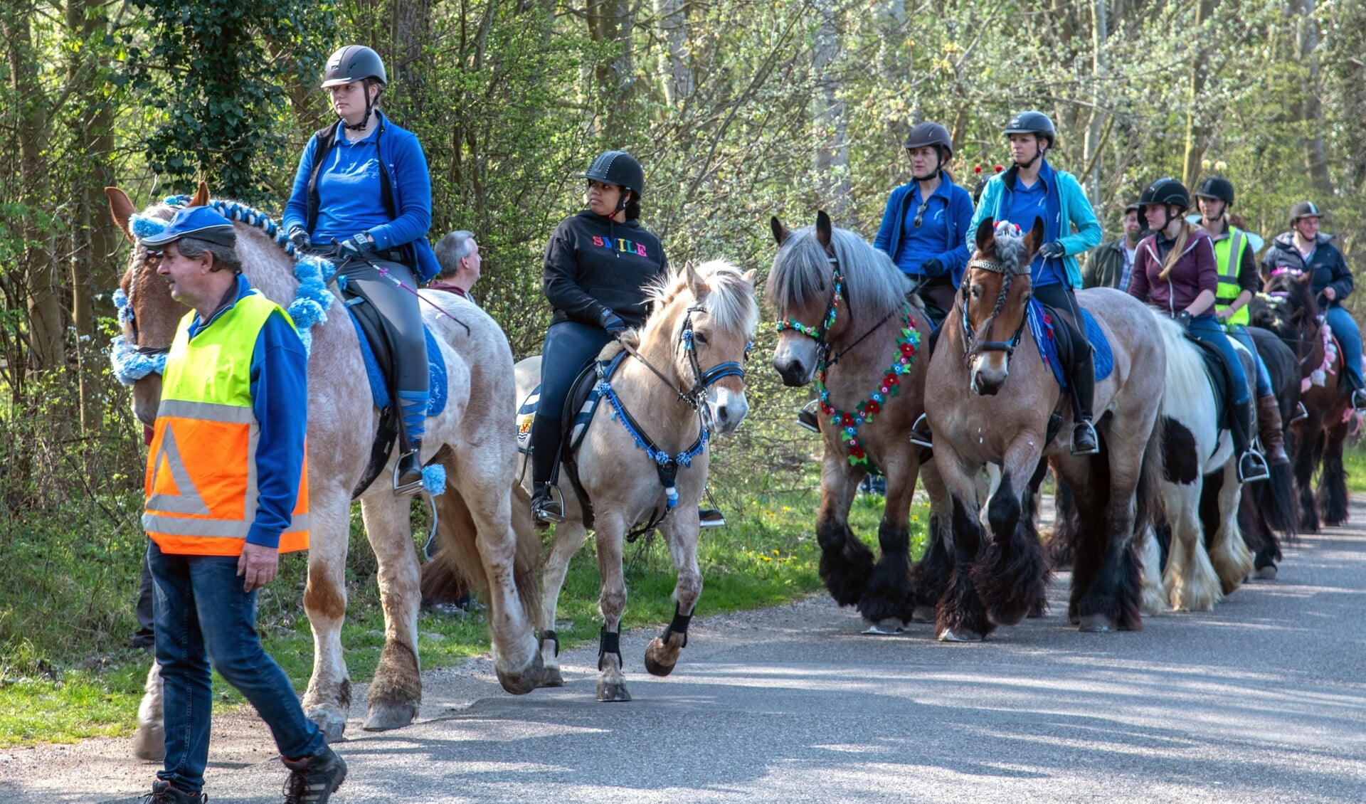 De Lenterit van het Trekpaarden Team Rockanje trok veel bekijks. (Foto: Jos Uijtdehaage).