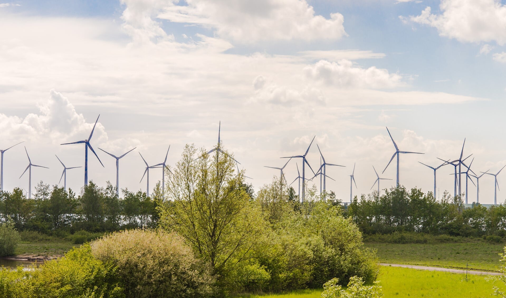 Deltawind uit Oude-Tonge is samen met Zeeuwind de bouwer van het gigantische windmolenpark De Krammer, heel dicht tegen Oude-Tonge aan. (foto: Jacquelien Wielaard)