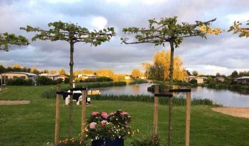 Maak kennis met naaktrecreatie bij De Brongaard