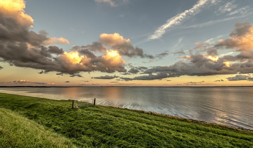 De expositie Natuur op Goeree Over Flakkee is in het weekend (vrijdag, zaterdag en zondag) te bewonderen in het paviljoen van Theetuin de Bongerd in Herkingen van 10.00 uur tot zonsondergang.