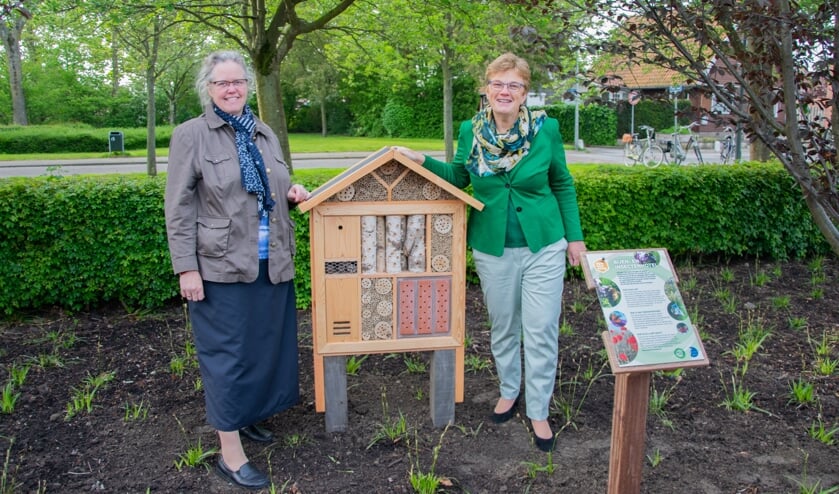 Wethouder Tea Both-Verhoeven mocht samen met dorpsraadvoorzitter Anne-Karin Guijt het eerste officiële bijenhotel openen in Nieuwe-Tonge. Foto: Sam Fish