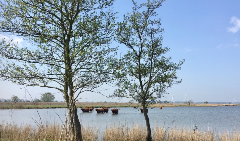 Laat je overdonderen door de natuur op het eiland. Dit eilandgevoel is een unieke belevenis!