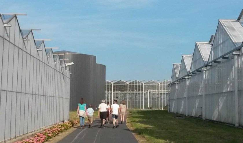 Maandag 17 juni gaat de 2019-editie van de Avondvierdaagse van start.