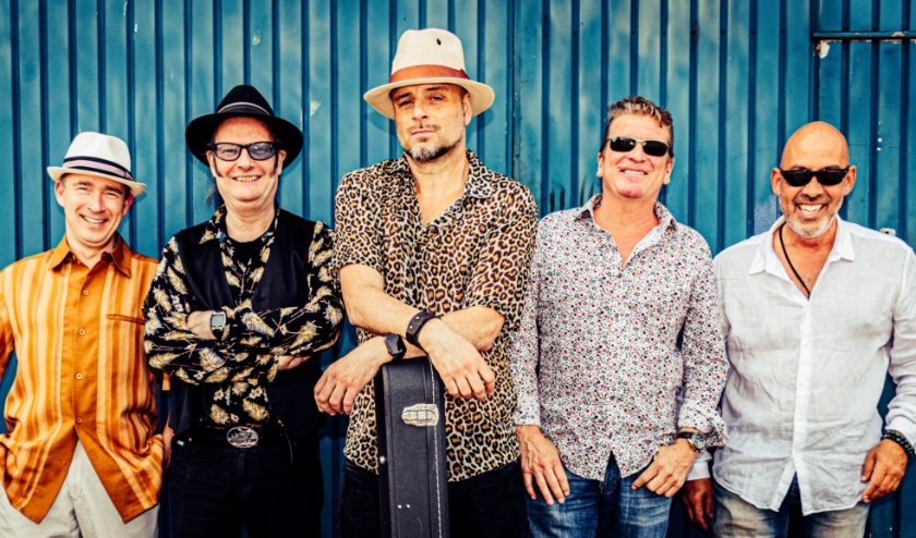 Fat Harry & the Fuzzy Licks. Foto: (PR/Robbert Hummen)