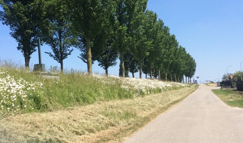 Advies om de vroege maaibeurt af te schaffen en te beperken tot situaties waar het uitzicht op kruisend verkeer wordt belemmerd.