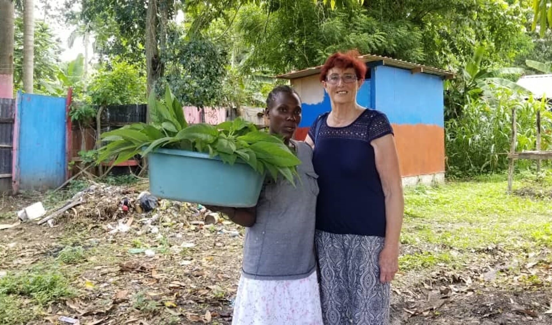 Van de 'Stichting Vrienden van Haïti Nederland', zijn ze drie weken op werkbezoek geweest in Haïti