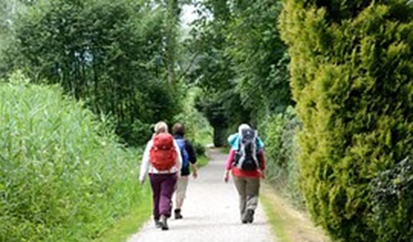 Wandelen met lotgenoten.