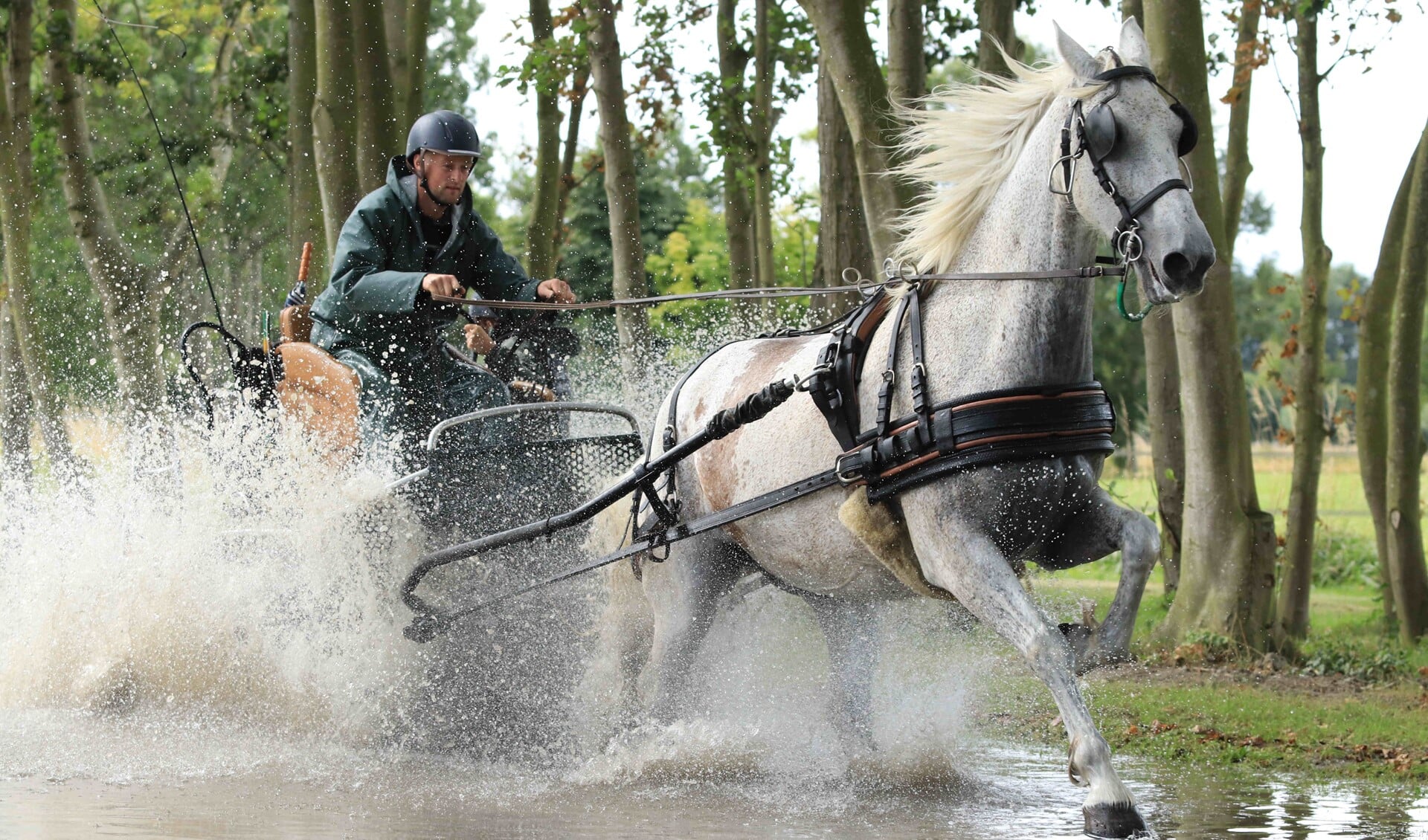 Bas Metske in actie met zijn paard Henri (Foto: PvE fotografie)