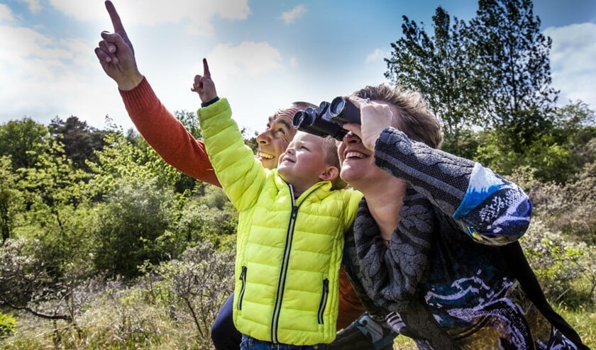 Ben jij tussen de 6 en 12 jaar en wil jij vogels leren herkennen? Meld je dan aan!
