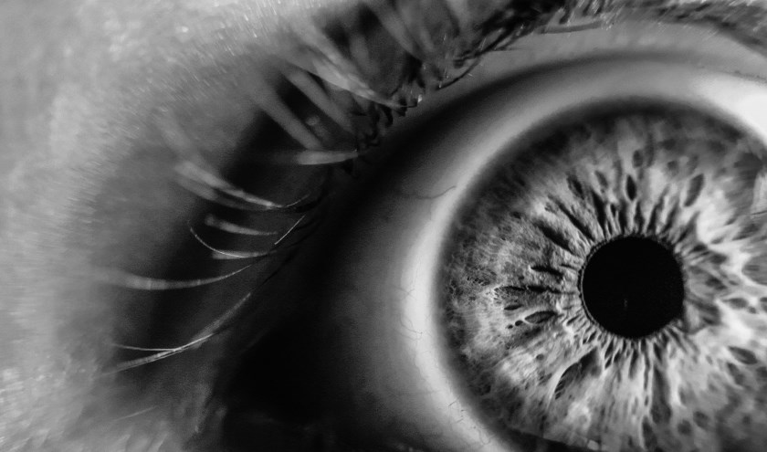Alle mensen die te maken krijgen met verminderd zicht: blinden, slechtzienden, ouderen, maar ook professionals en hobbyisten die behoefte hebben aan beeldvergroting kunnen terecht bij Iris Huys.