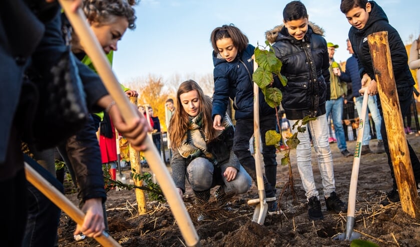Een Tiny Forest® is een dichtbegroeid, inheems bos ter grootte van een tennisbaan; een prettige plek voor vlinders, vogels, bijen enz.